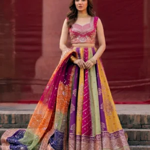 Bin Ilyas Multicolor Bridal Collection Silk Replica